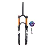 federgabeln suntour PAKET ENTHÄLT: Fahrrad Federgabeln x1, Top Cap x1, Schrauben x1