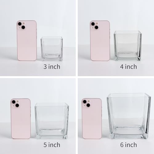 Set of 6 Square Glass Vases 4" x 4" x 4", Clear Flower Vase, Plant Terrarium, Candle Holder for Wedding Centerpiece, Office Decorations, Home Décor, Parties and Events