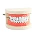 18K Gold Plated Iced Out Teeth Grillz Set – Top & Bottom CZ Paved Hip Hop Mouth Grills, Fashion Accessory Parties, Streetwear(Silver)