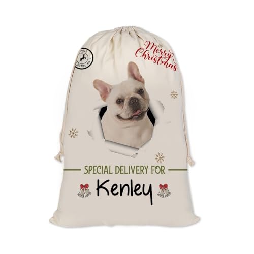GABSHAIM Christmas Santa Sack with French Bulldog Puppy Dog Custom Name Large Cotton Linen Santa Bag Special Delivery for Family Friend Xmas Decor 19.5 x 27.5 Inch Style 2