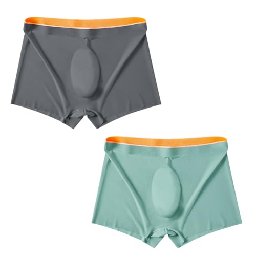 Men's Traceless Trunks Ice Silk D Pouch Undewear Sexy See-Through Transparent Brief Boxers