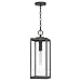 Quoizel WVR1507IZ Westover Pendant, 1-Light 150 Watts, Industrial Bronze
