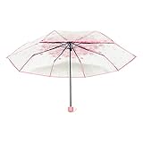 Der Schirm kann eingeklappt werden.