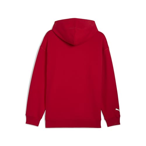 Image of Puma Men Hoodies