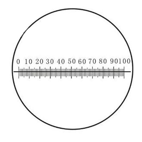 Microscope Micrometer Diameter 26mm Calibration Board Optical Ruler Microscope(MS-1-C8)