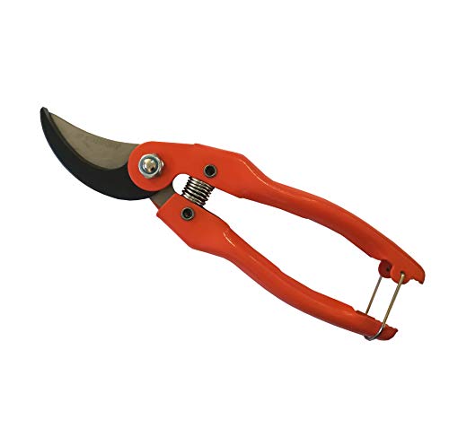 Stanford - Tijera Podar Acero 1 Mano 9 Pulgadas Cover