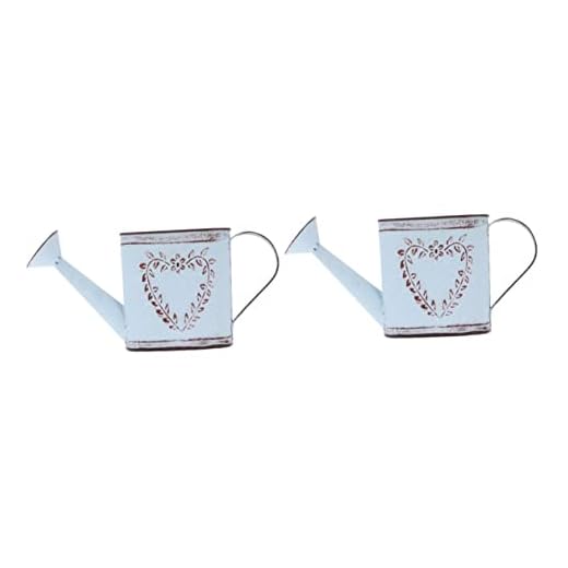 EVANEM 2 piezas Corazón L Leche y aspersor Balcón Planta Jarrones de botellas Boda Diseño simple Metal Shabby Vintage Cubos Decoración de cubo Centro de riego Contenedor Maceta Jarra Escritorio Pequeñ