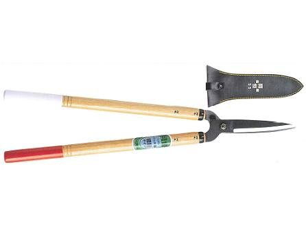 P  55^(yʃ^CvE780g) 218