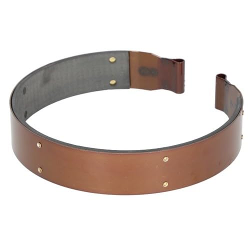 その他 BRS Frontiers | Research and Application of Chondroitin Sulfate