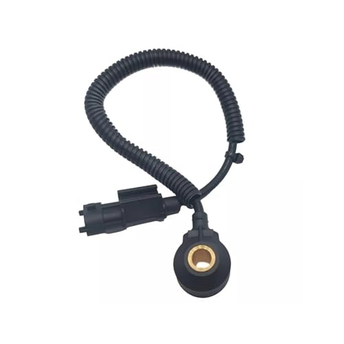 Faisceau capteur de cliquetis droit pour Hyundai Azera et Kia Santa Fe V6
