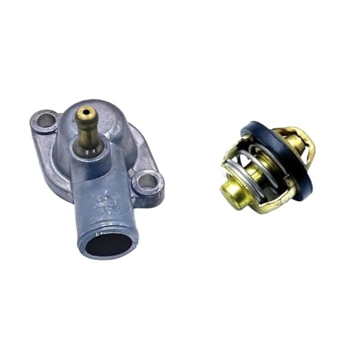 Termostato con cubierta para Stels ATV 300B y Buyang 300