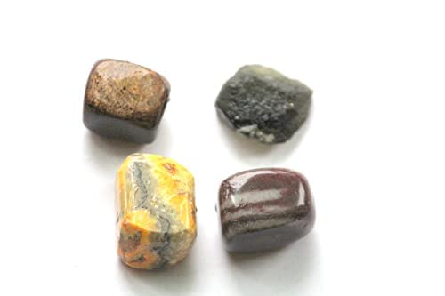 Jet InternationalJet International Authentic Unique Collection Of Moldavite + Bumble Bee + Bronzite + Narmada Stonetumbled Stone For Resolving Health Issues For Dis-Ease. Balancing Healing Stones (Immunity/Weakness)