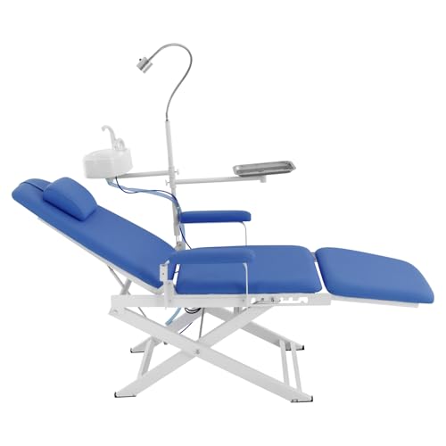 Dsmsseym Dental Chair with LED Light