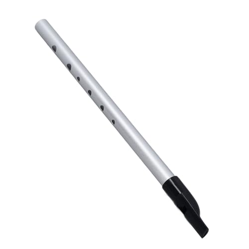 Generic Manuel D'apprentissage de la Flûte Courte pour les étudiants | Instrument de Flûte Courte D'excellente qualité Sonore pour les Groupes Scolaires | Boîte de Rangement Incluse (Argent D Tune) – vue 7
