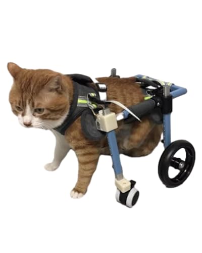 Silla de ruedas para perros con patas traseras paralizadas, carrito ligero de recuperación de mascotas con 4 ruedas, fácil montaje, diseño cómodo para perros y gatos