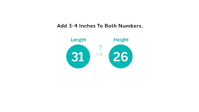 Petmate Dog Crates for Small Dogs & Cat Carriers, Two-Door Plastic Pet Kennel, Top & Front Loading, Made in USA, 24", Blue