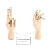Gaetooely Figura Mano Izquierda/Derecha Articulada Opuesta Seccionable de Madera de 7 Pulgadas...