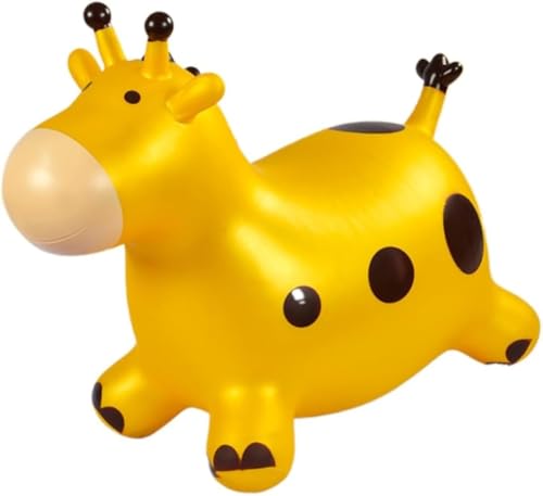 JuneSun zbsO  Wv{[   oX 蕨 Ct[^u pߋ ˂ V ̊g[jO v[g (CG[)