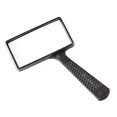 Loupe pour sciences en classe et observation des petits détails - 2