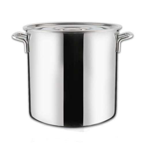 Olla de Acero Inoxidable de 30 cm, Apta para inducción, con Tapa, hervir y cocinar, Utensilios de Cocina Plateados duraderos para Chefs caseros.