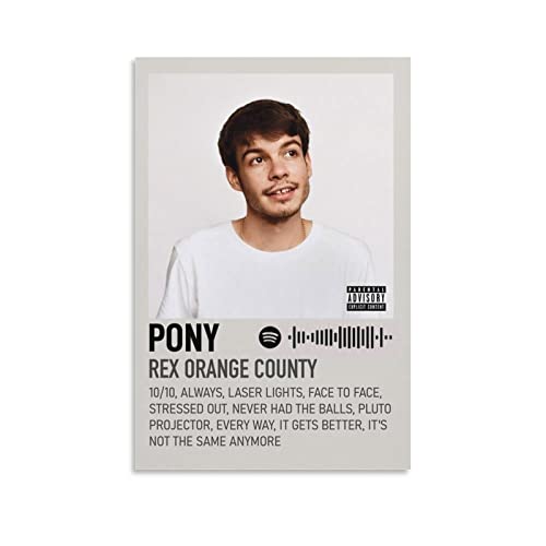 Poster Rex Orange County Pony idée cadeau déco ado et adulte