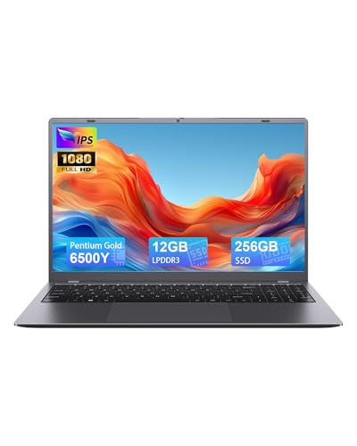Zrasu 14�C���`�m�[�g�p�\�R�� Pentium Gold 6500Y (�ő�3.4GHz)�A12GB RAM 256GB SSD 1080P �t��HD USB-C WiFi 5 BT5.0 �O���[ �R���s���[�^�[�m�[�g�p�\�R�� �w�Z�A�r�W�l�X�p