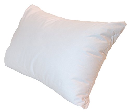 Rectangle Pillow Form Insert - 12