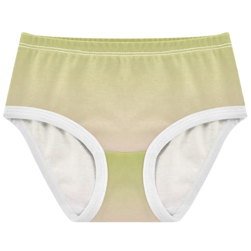 Joisal Girls Underwear Toddlers 2t Cotton Little Girl Panties Fun Print Briefs Undies Kids Green Cute Pink Gradient