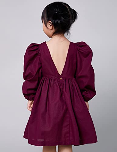 Toddler Baby Girl Linen Dress Vintage Puff Long Sleeve Backless Smocked Swing Casual Loose Flower Girl Dresses2