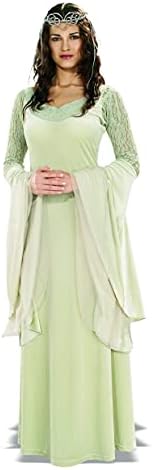 Rubies Lord Of The Rings: Arwen Costume for Adults, Women's Standard