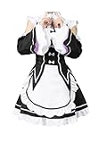 Cosfun Rem Ram Maid Dress Re Zero Cosplay Costume for Halloween mp004175 (X-Small)