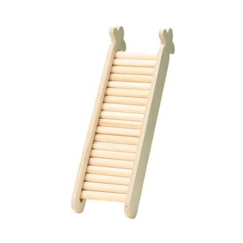 Fiyyuga nX^[̑͂@\ؐuPbgtgS[fxAP[Wpi (jW_[,}`J[)