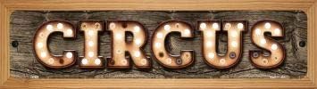 SMART BLONDE Circus Novelty Wood Mounted Metal Mini Street Sign WB-K-827