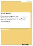 Marketingstrategie für das MPA-Online-Studium in osteuropäischen Ländern mit Unterstützung durch ein Internetportal