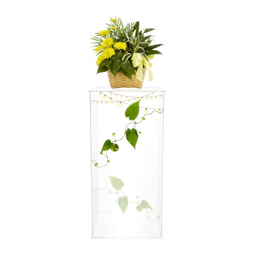 TTISJHK Présentoir en acrylique transparent de 60 cm - Présentoir moderne pour fleurs, décoration, objets de collection, mariages, fêtes, salon - Colonne rectangulaire