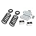 Belltech 630 Lowering Kit