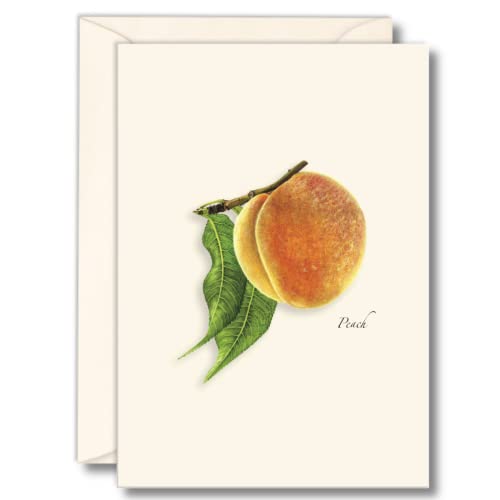 Image of Earth Sky + Water - Peach Notecard Set - 8 Blank Cards with Envelopes