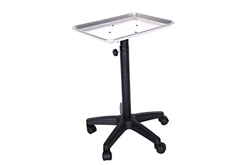 Beauty Style Premium Aluminum Instrument Tray Utility Carts Chemical Salon Service (Silver)