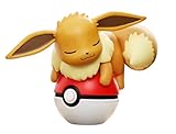 Pokémon - Pokeball lumineux nocturne - 15 ans et plus - Évoli