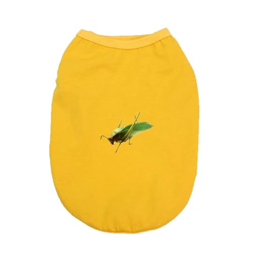 [QINTIW] ���� �t �f�U�C��1 �ڐG�⊴ �h�� �� �� �H ���^ �ʋC ���킢�� ������� ���^�� ���^�� ��^�� �����΍� �� XXL �ĕ� ���̕� �h�b�O�E�F�A ������� ���킢�� ���� �t�@�b�V���� ������^�����L�� �ʋC ���₩ ���U��