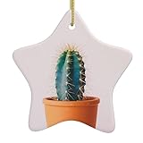 Cactus Navidad adornos estrella adornos para árbol de Navidad colgante cerámica árbol decoraciones para el hogar decoración al aire libre
