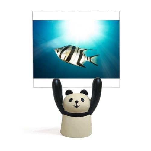 Sea Fish Memo Holder panda de décoration et pince note pour enfant et adulte