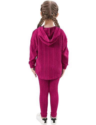 Image of LecGee Women Fall Casual Hoodie Set Long Sleeve Oversized Sweatshirt Elastic Waist Legging Pant 2 Piece Outfit Tracksuit