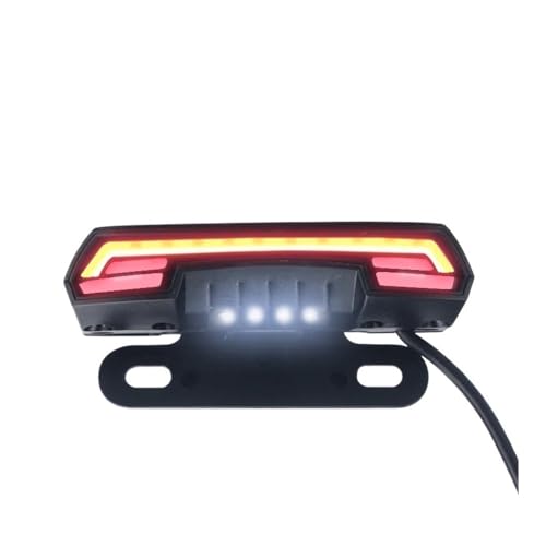 Feux arrière d'arrêt de frein et clignotants double flash à LED pour moto