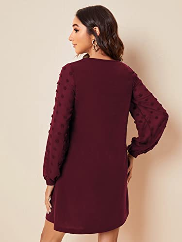 Image of SweatyRocks Women's Elegant Mesh Contrast Long Sleeve A Line Mini Short Dress