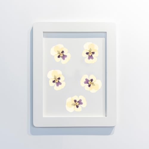 36 flores secas prensadas naturales para manualidades miniatura 3