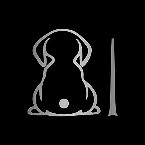Dreothy Hunde-Aufkleber, wasserdicht, Heckscheibenwischer-Aufkleber, Cartoon, lustiger Hundeschwanz, Aufkleber für Auto, Heck, Hundeaufkleber, Autofenster-Aufkleber (gebürstetes Silber)