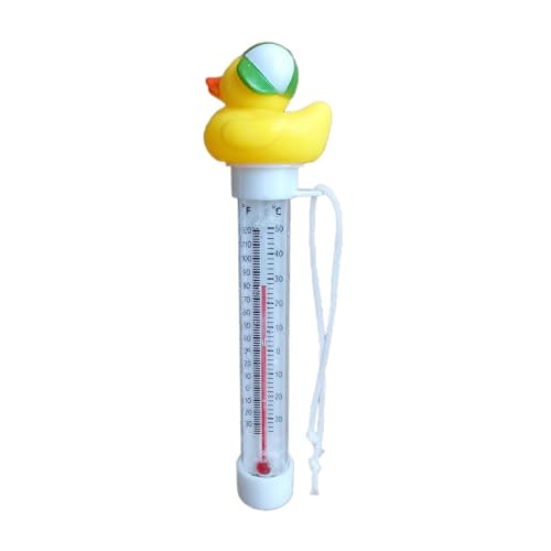 Floating Pool Thermometer