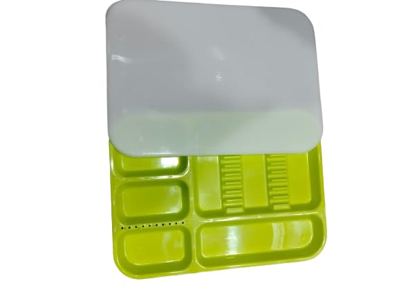 Dental Tool Instrument Tray With Lid (Light Green) (Pack Of 1) (B0D4HSNNDH) Amazon Price History, Amazon Price Tracker