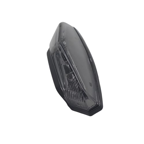 Luz trasera de motocicleta para rutas en S1000XR y G310R con freno integrado 6
